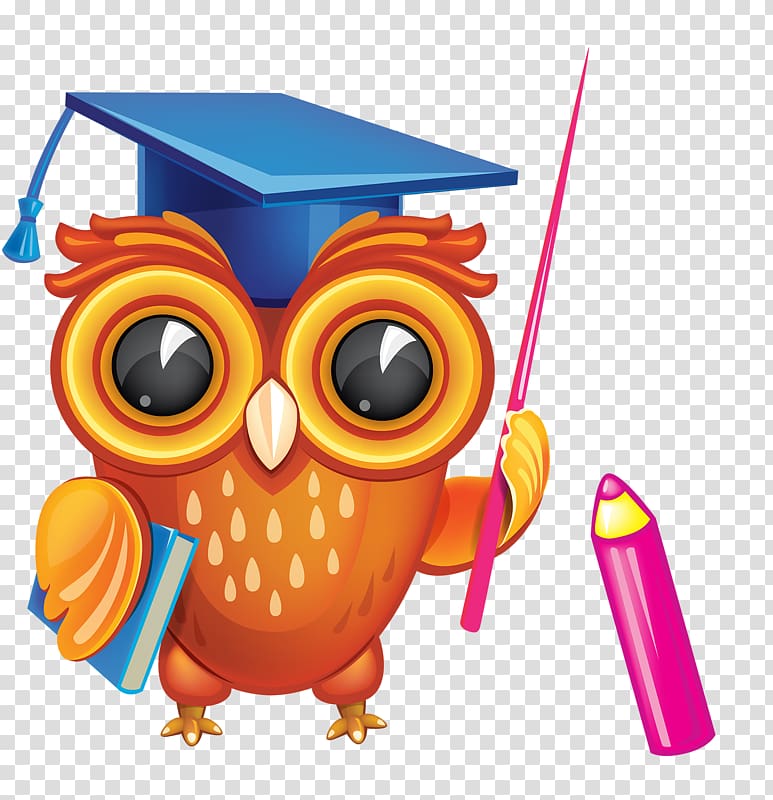 cute owl transparent background PNG clipart