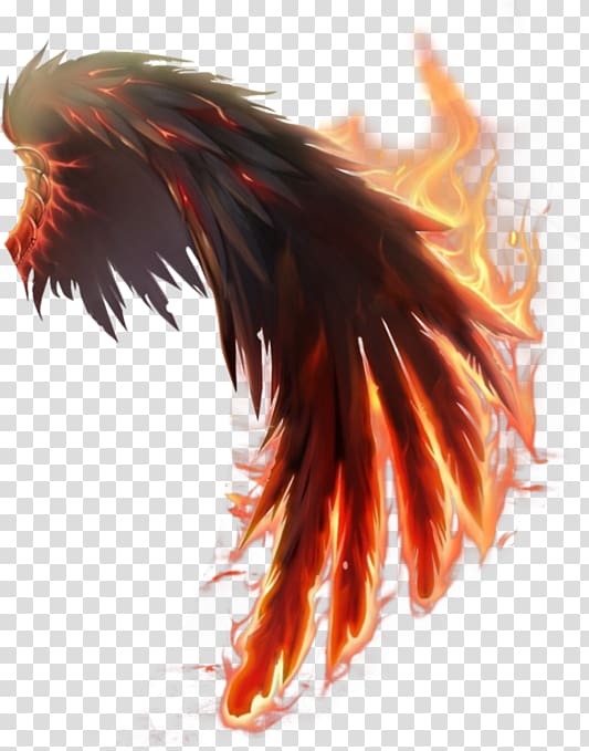 flaming wing illustration, Wings of Fire Computer Icons, wings transparent background PNG clipart