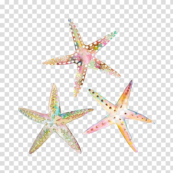 three assorted-color starfishes, Watercolor painting Drawing Starfish Illustration, starfish transparent background PNG clipart