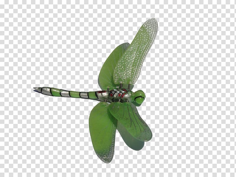 Dragonfly , dragonfly transparent background PNG clipart