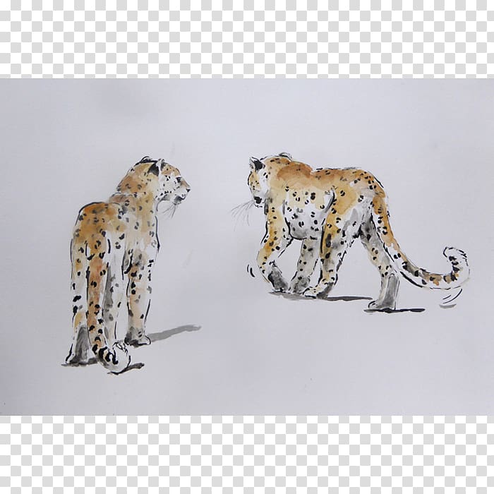 Cheetah Leopard Big cat Terrestrial animal, cheetah transparent background PNG clipart