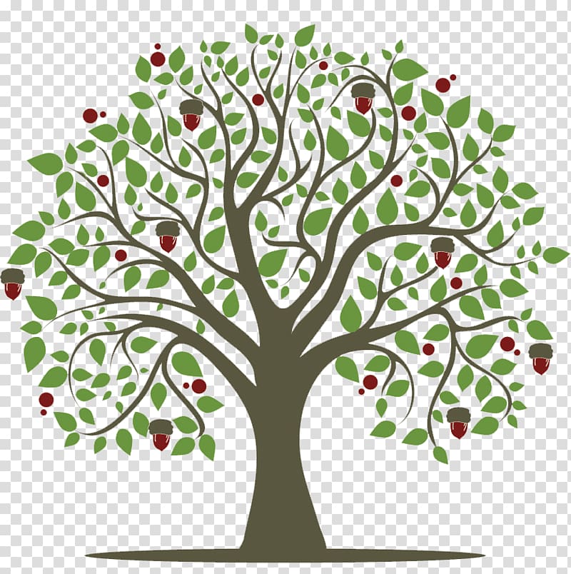 Twig Tree Sociology: The Basics Oak, tree transparent background PNG clipart