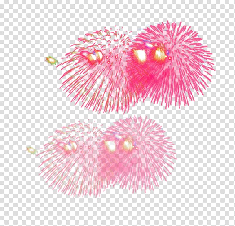Light Fireworks Pyrotechnics , Fireworks transparent background PNG clipart