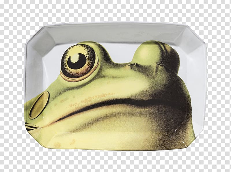 True frog Plate Mug Tableware, Plate transparent background PNG clipart