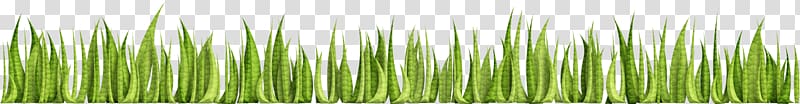 Adobe Illustrator Adobe Systems Wheatgrass u0633u0628u0632u0647, Green grass transparent background PNG clipart