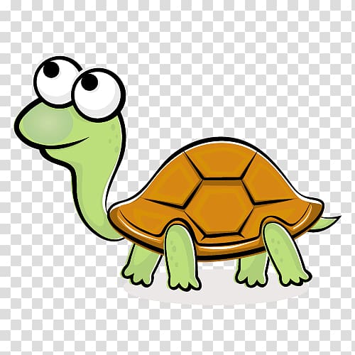 Turtle Cartoon , turtle transparent background PNG clipart