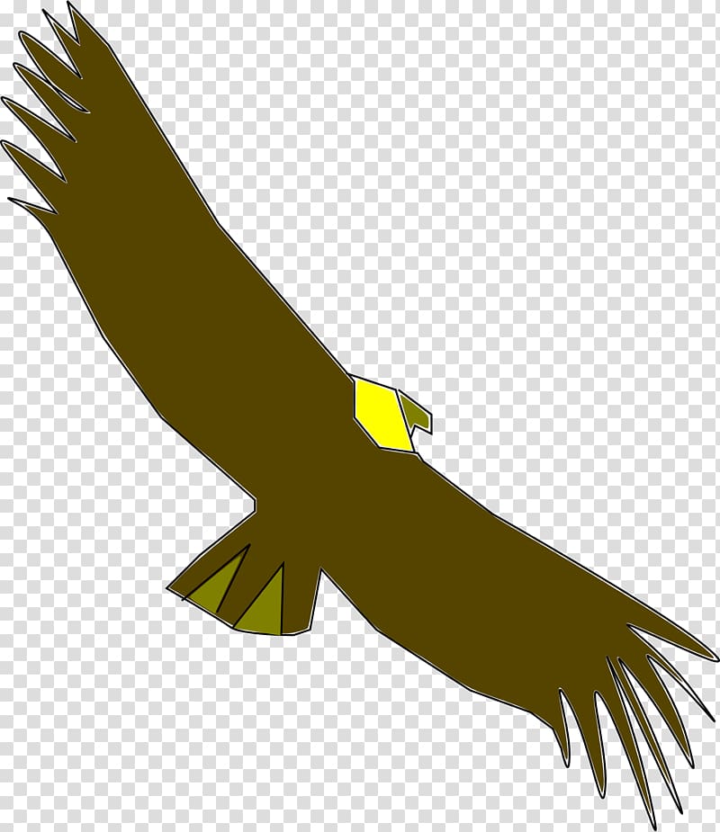 Condor , others transparent background PNG clipart