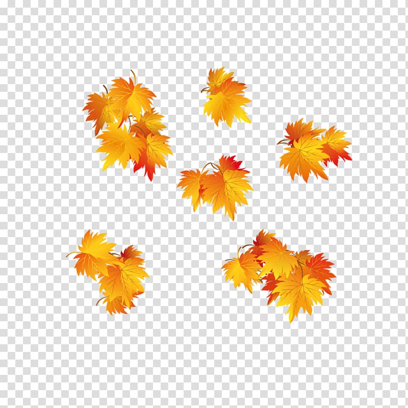 Autumn Leaf , Gold Maple Leaf transparent background PNG clipart