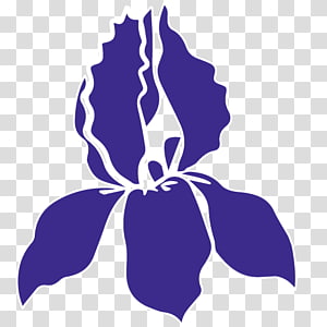 Petal Leaf Flowering plant , Leaf transparent background PNG clipart thumbnail