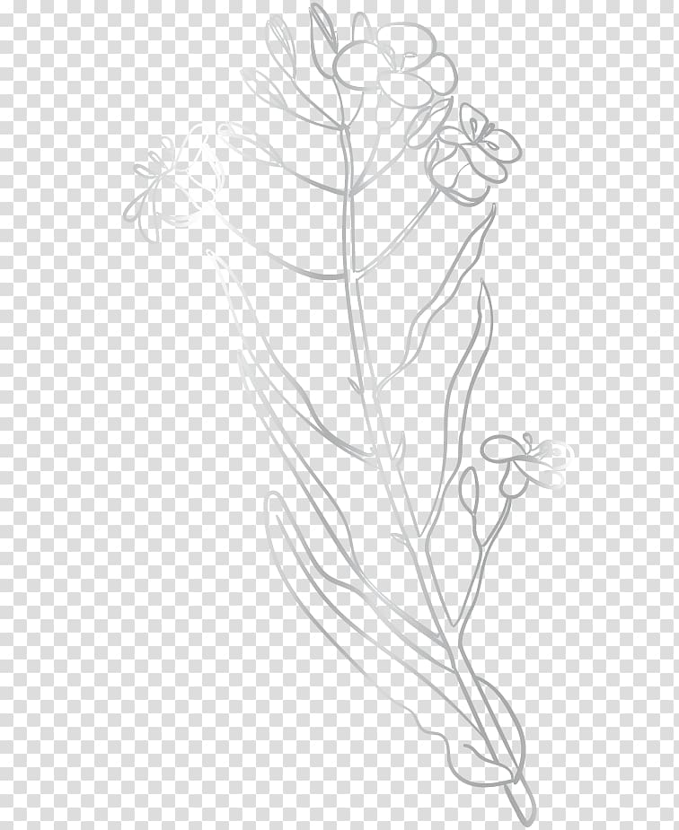 Twig Floral Design Leaf Sketch Mensch Symbol Transparent Background Png Clipart Hiclipart