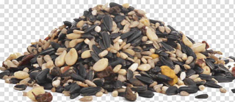 Nut Caraway seed cake Sunflower seed Berry, sunflower oil transparent background PNG clipart