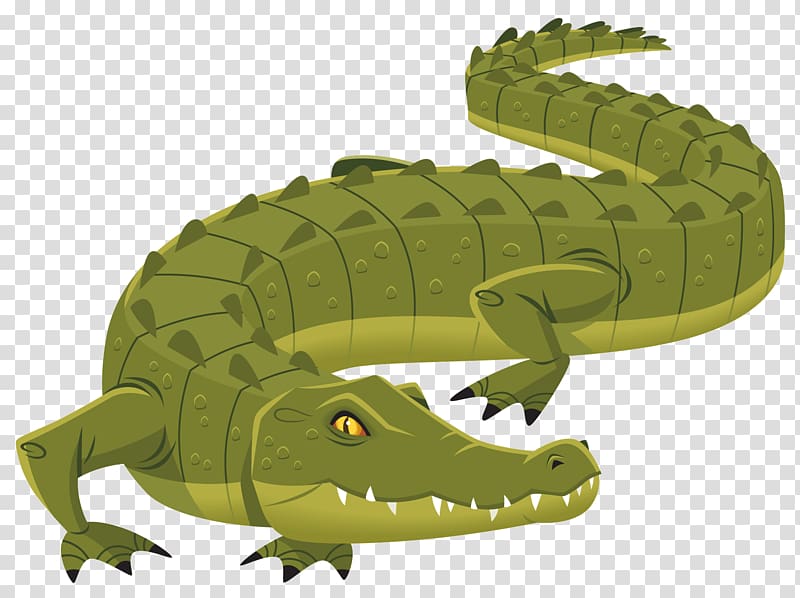 green crocodile illustration, Nile crocodile Alligator Logo, crocodile transparent background PNG clipart