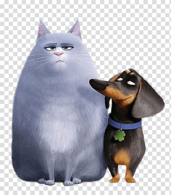 munchkin cat and dachshund