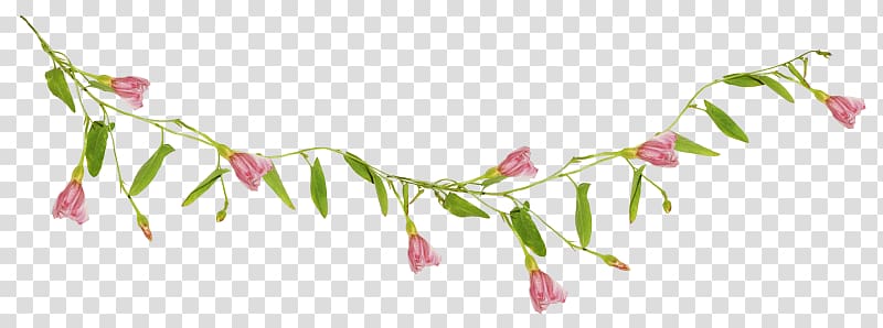 Petal Floral design Leaf , Leaf transparent background PNG clipart