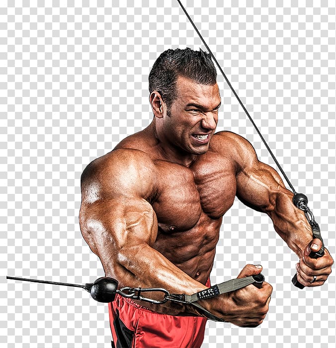Steve Kuclo Athlete NPC UNIVERSE Championship Physical fitness, Steve Weingarten Private Fitness Coach transparent background PNG clipart
