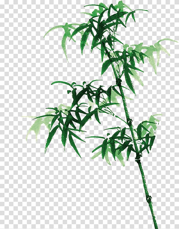 Bamboo Bambusa oldhamii Ink wash painting, bamboo transparent background PNG clipart
