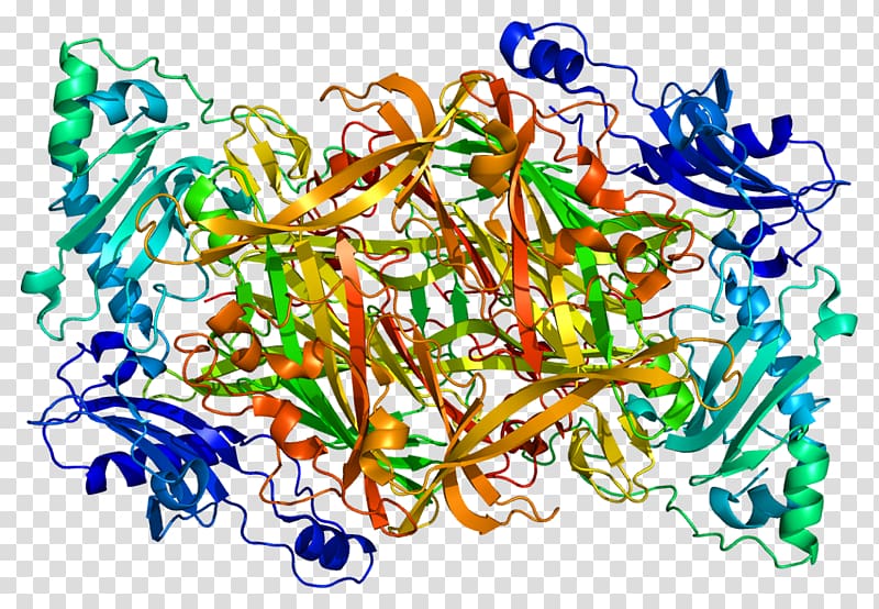 AOC3 Amine oxidase (copper-containing) DNA polymerase Gene, others transparent background PNG clipart