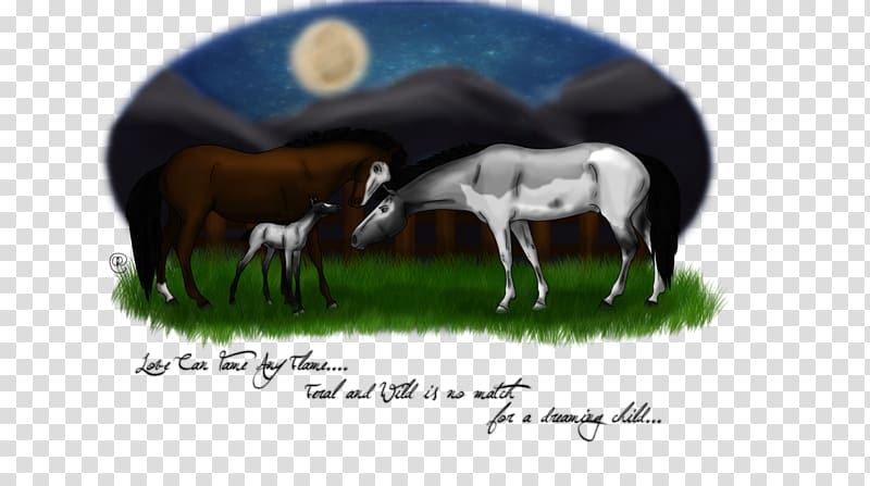 Horse Cattle Sheep Live Animal, Late Night transparent background PNG clipart
