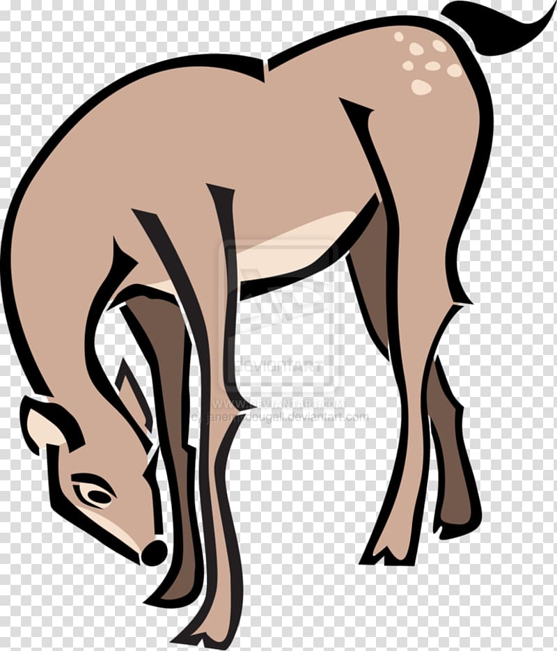 Thumper Bambi's Mother Deer Faline, Deer draw transparent background PNG clipart