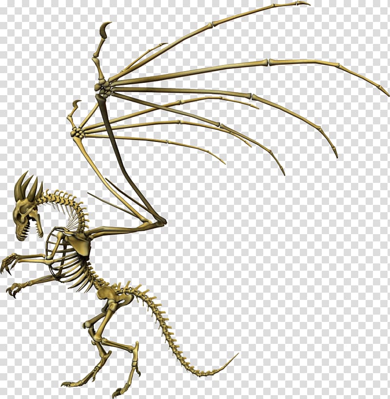 Dragon Skeleton Insect Animation, dragon transparent background PNG clipart