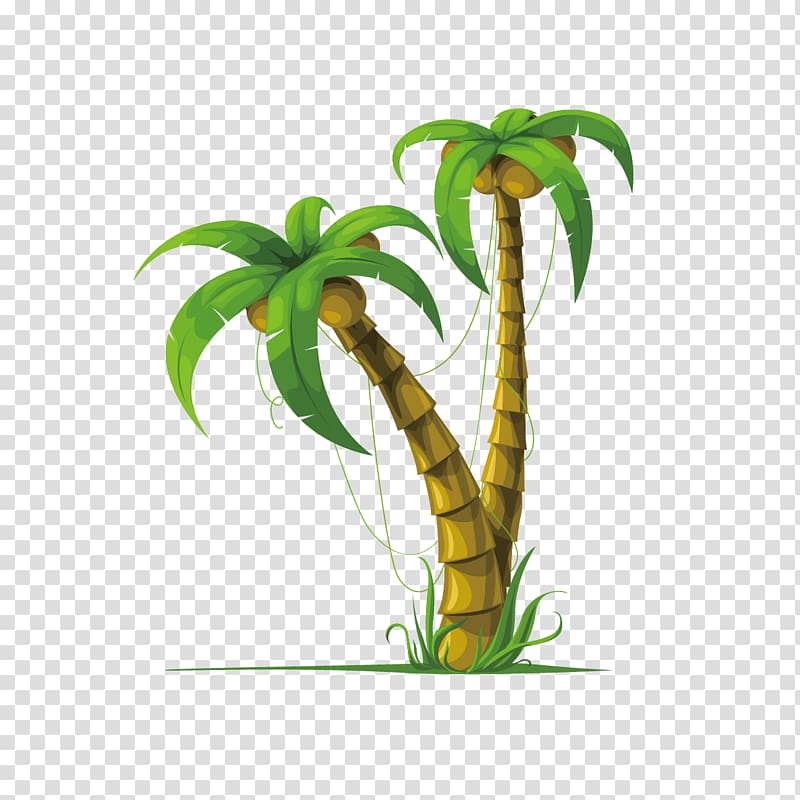Coconut Arecaceae Drawing , coconut tree transparent background PNG clipart
