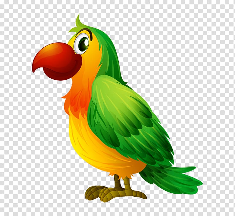 Bird Parrot Illustration, Cartoon hand colored parrot side transparent background PNG clipart