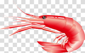 Beer Lobster , Cartoon Lobster transparent background PNG clipart thumbnail