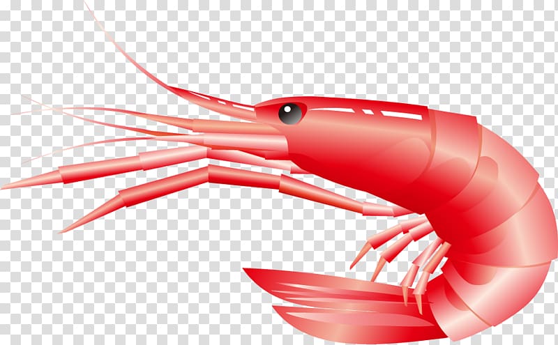 Beer Lobster , Cartoon Lobster transparent background PNG clipart