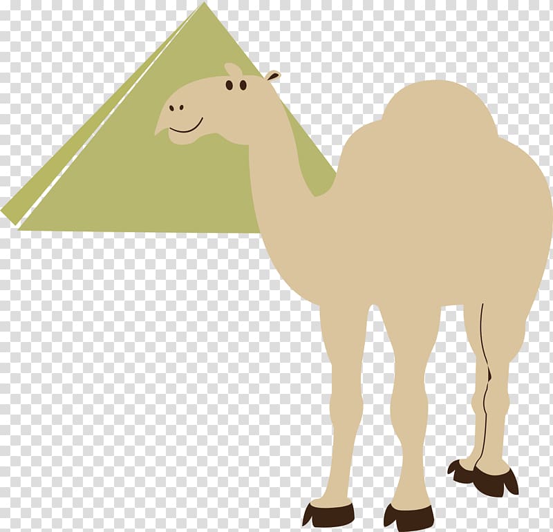 Egyptian pyramids Cairo Camel , camel transparent background PNG clipart