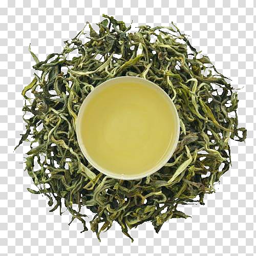 Gyokuro White tea Oolong Nilgiri tea, green allogeneic cancer cell transparent background PNG clipart