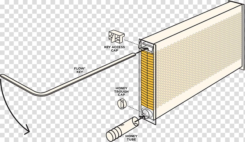 Beehive Flow Hive Honey flow, bee transparent background PNG clipart