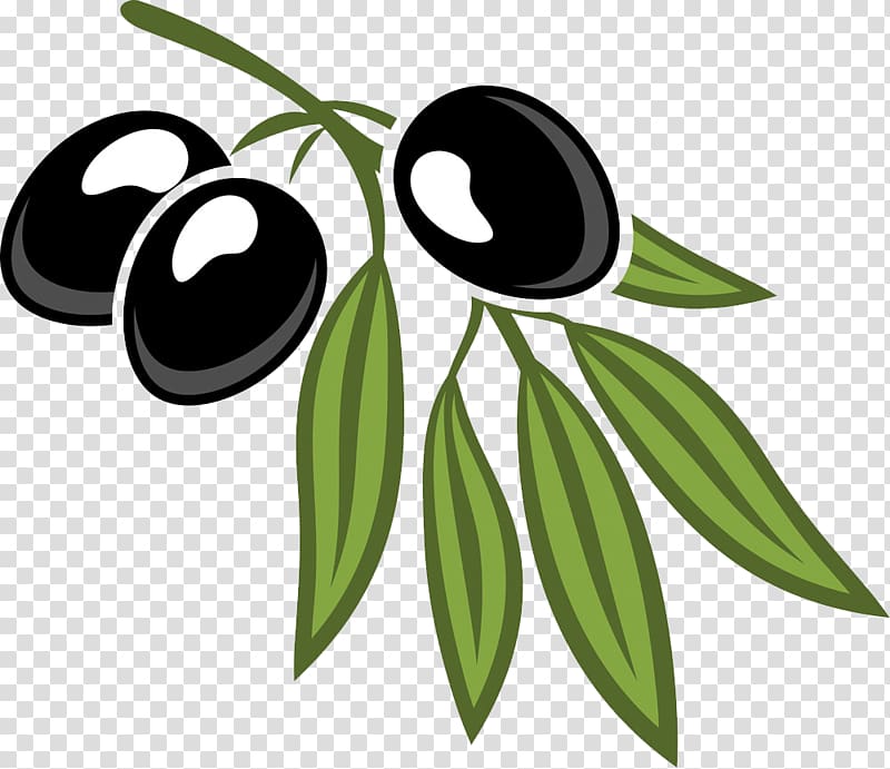 Olive leaf Cartoon , Black olives and foliage transparent background PNG clipart