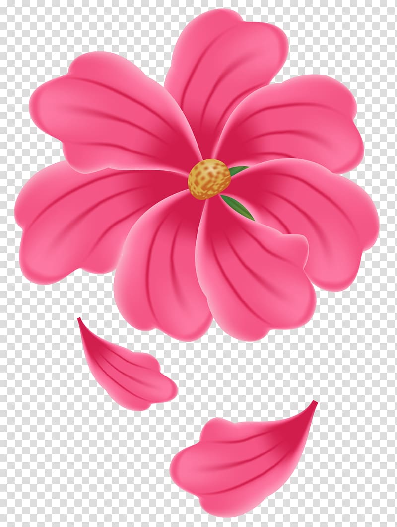 pink petaled flowers illustration, Dahlia Petal Herbaceous plant, Flower Pink transparent background PNG clipart