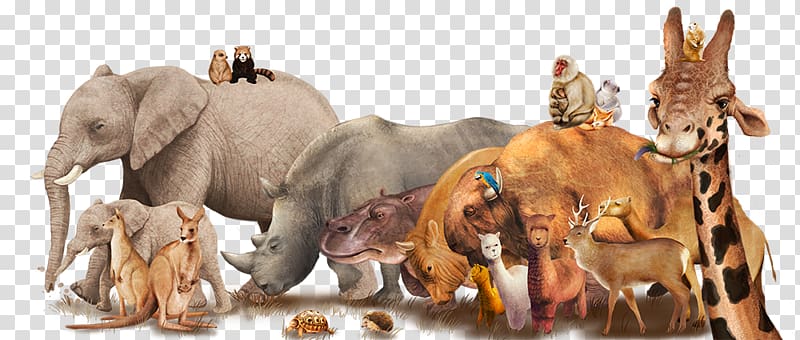 assorted wild animals illustration, Poster Safari park, Safari material transparent background PNG clipart