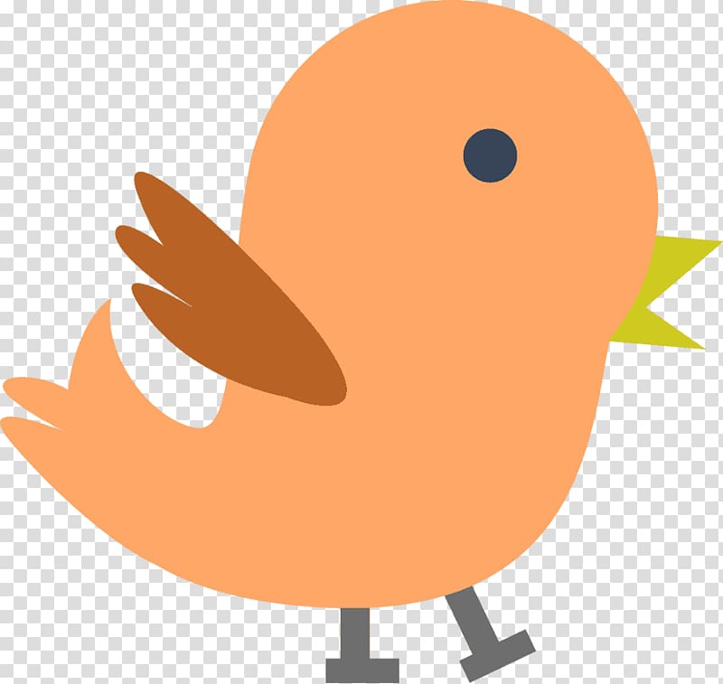 Bird Infant , Of Baby Chick transparent background PNG clipart