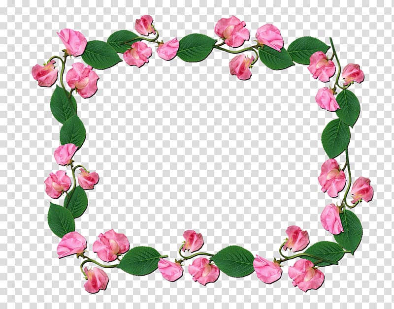 Flower Floral design Sweet pea Petal Rose family, flower transparent background PNG clipart