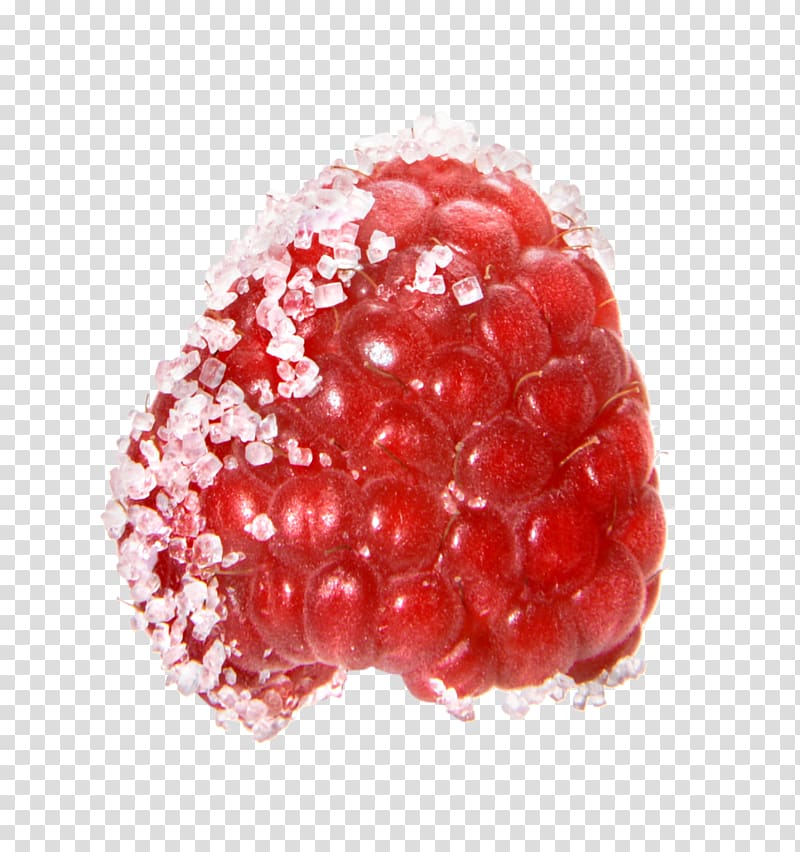 Raspberry Boysenberry Loganberry Tayberry, granulated sugar transparent background PNG clipart