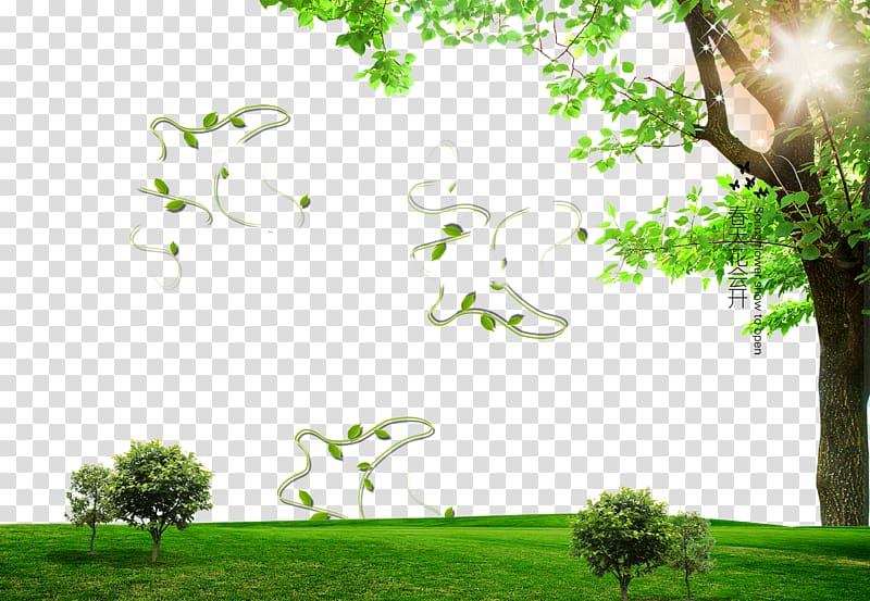 Spring poster background effect, green grass field, trees, and plants  transparent background PNG clipart | HiClipart