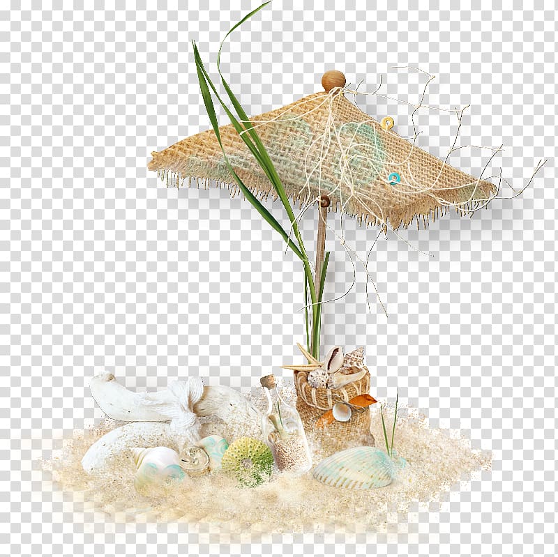 Frames Beach Film frame , beach transparent background PNG clipart