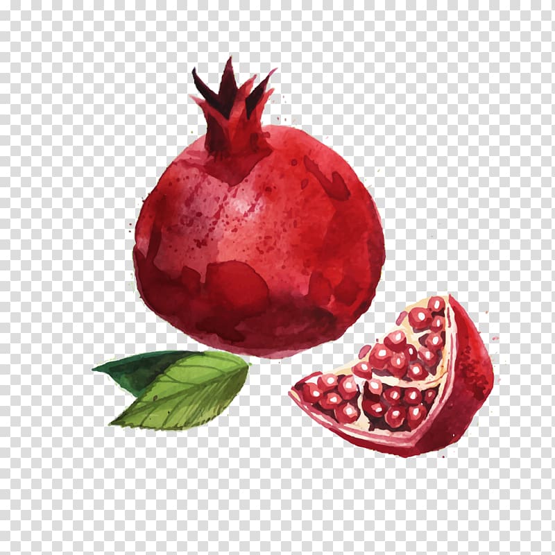 Ali Molaei Iran Shab-e Yalda Music , painted pomegranate transparent background PNG clipart