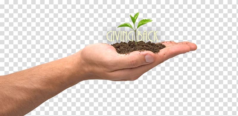 Parent Child Donation Organization Role, plant in hands transparent background PNG clipart