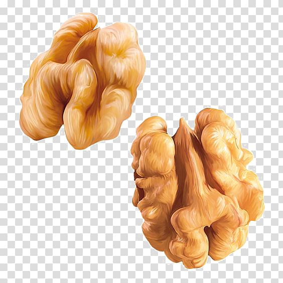 two fried dish illustration, Walnut Nucule Fruit Almond, Walnut transparent background PNG clipart