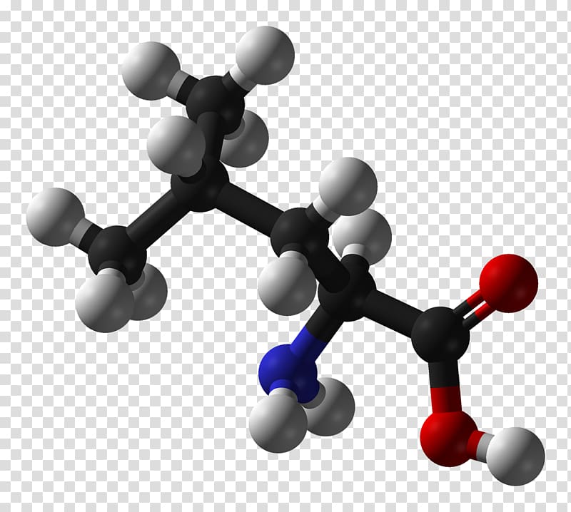 Amino acid Molecule Protein Alanine, 3d transparent background PNG clipart