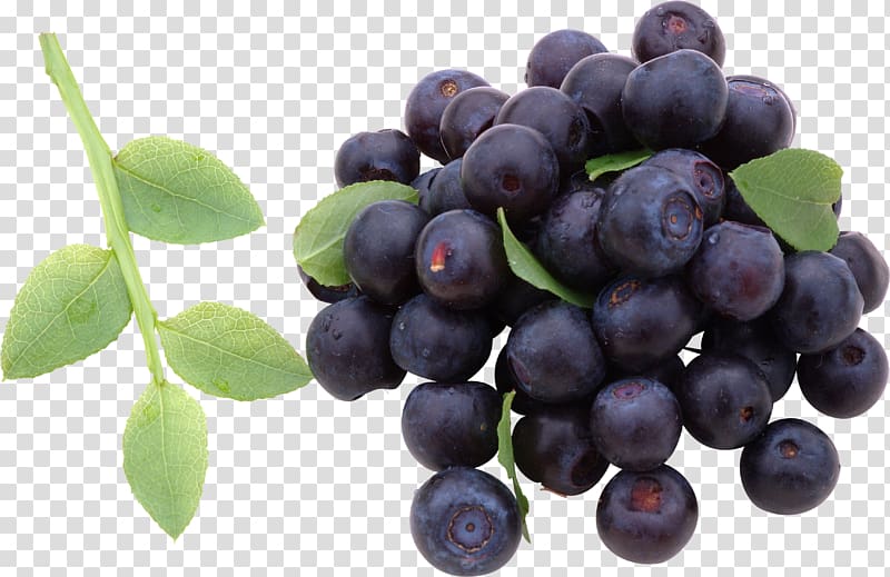 Blueberry\'s Cafe Smoothie Vaccinium corymbosum Breakfast, Blueberries transparent background PNG clipart