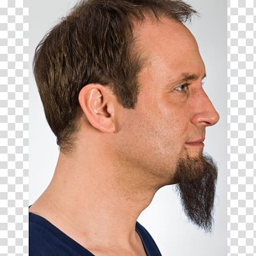 Beard Chin Goatee Facial hair Sideburns, Beard transparent background PNG clipart