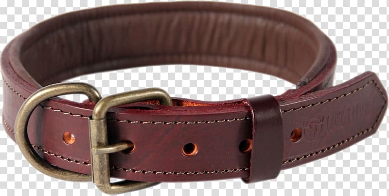 Dog collar Leather Leash, Dog transparent background PNG clipart
