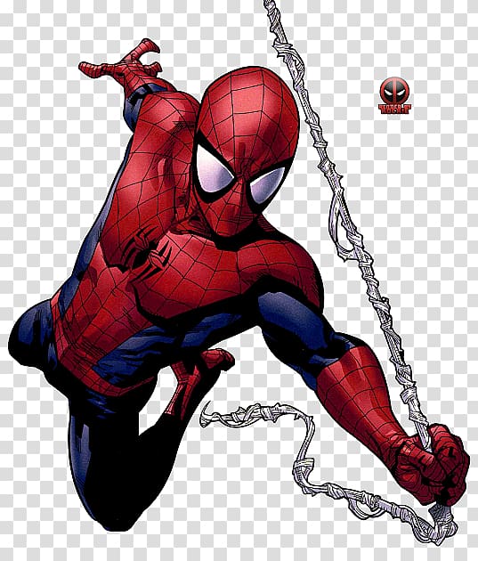 Red and blue Spider-Man illustration, Ultimate Spider-Man Captain Miles Morales Venom, spiderman transparent background clipart HiClipart