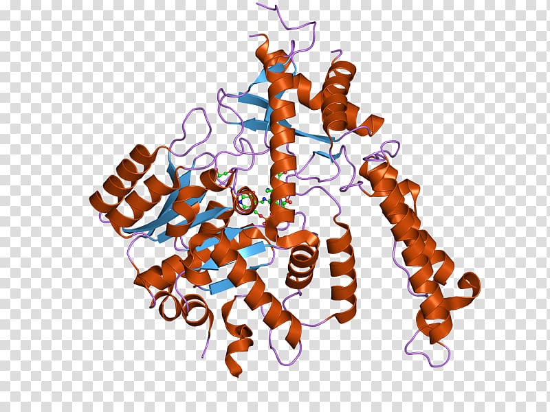 Methionine Glutamate decarboxylase Aminopeptidase METAP2 GAD2, others transparent background PNG clipart
