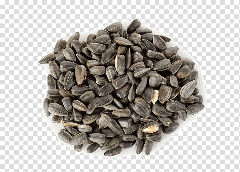 Raw foodism Sunflower seed Sesame Nutrition, seeds transparent background PNG clipart