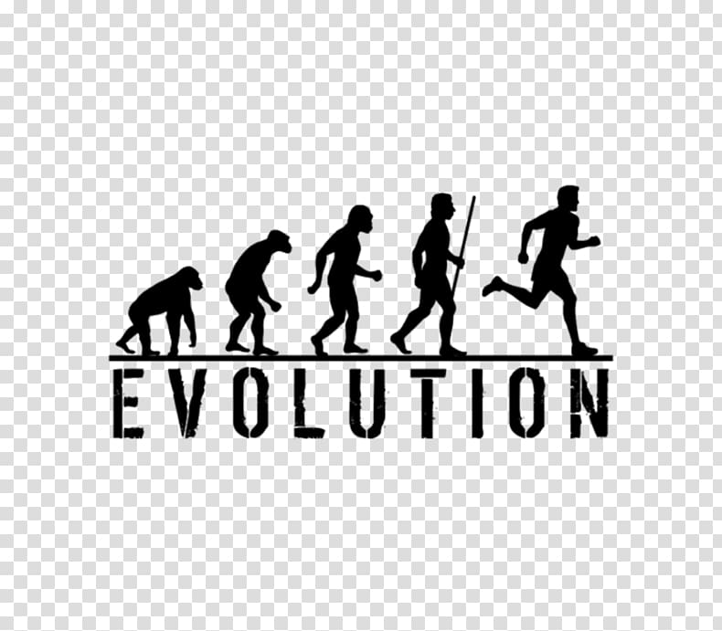T-shirt Human evolution Homo sapiens Ape, Beer man transparent background PNG clipart